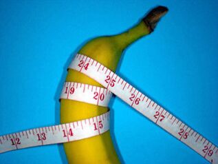 Measuring a penis during enlargement using a banana as an example