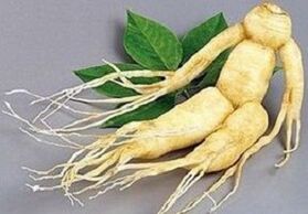 Ginseng root to make an infusion